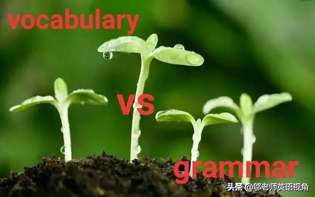 头条问答 英语很差 学英语是先学习单词还是语法 邬老师英语视角的回答 0赞