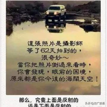 段静涛出于什么目的实名举报自己的恩师胡锡进？