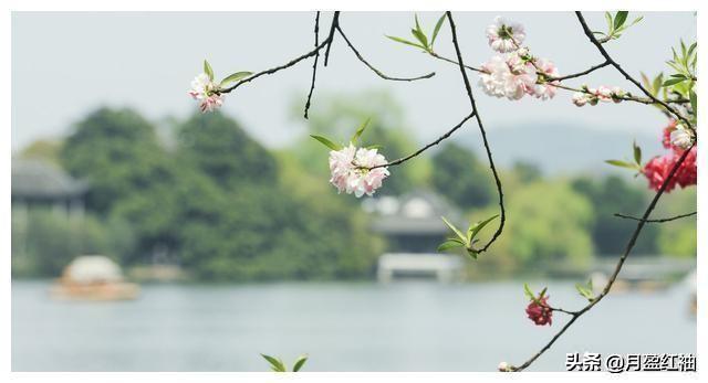 清明即事:清明写出了什么样的节日情景？
