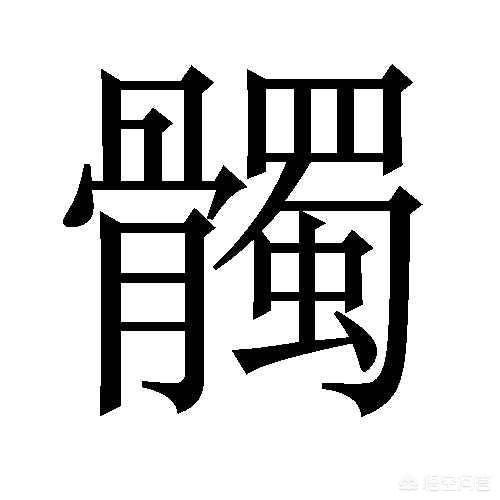 牛小蘑菇一字马:在《我的世界》中有哪些生僻字