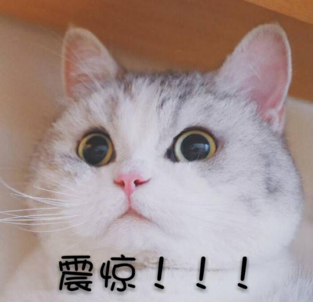 王佳为什么砍死丈夫:教授与丈夫同时遇害，凶手的杀人动机是什么