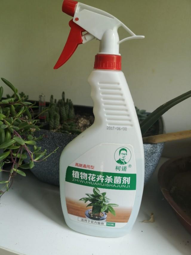 头条问答 家里花盆里的小飞虫怎么根治 有没有最有效的方法 个回答