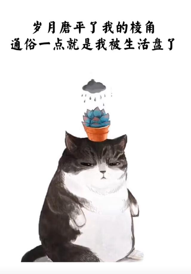<a href=https://maguai.com/list/256-0-0.html target=_blank class=infotextkey><a href=https://maguai.com/list/256-0-0.html target=_blank class=infotextkey>朋友圈</a></a>配图文案:有没有什么超级适合发<a href=https://maguai.com/list/256-0-0.html target=_blank class=infotextkey><a href=https://maguai.com/list/256-0-0.html target=_blank class=infotextkey>朋友圈</a></a>的<a href=https://maguai.com/list/39-0-0.html target=_blank class=infotextkey><a href=https://maguai.com/list/39-0-0.html target=_blank class=infotextkey>搞笑</a></a>文案<a href=https://maguai.com/list/46-0-0.html target=_blank class=infotextkey><a href=https://maguai.com/list/46-0-0.html target=_blank class=infotextkey>语录</a></a>推荐？