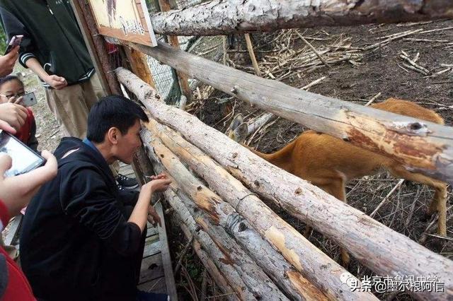 沈阳、西安和郑州三个城市中，旅游方面谁最差？