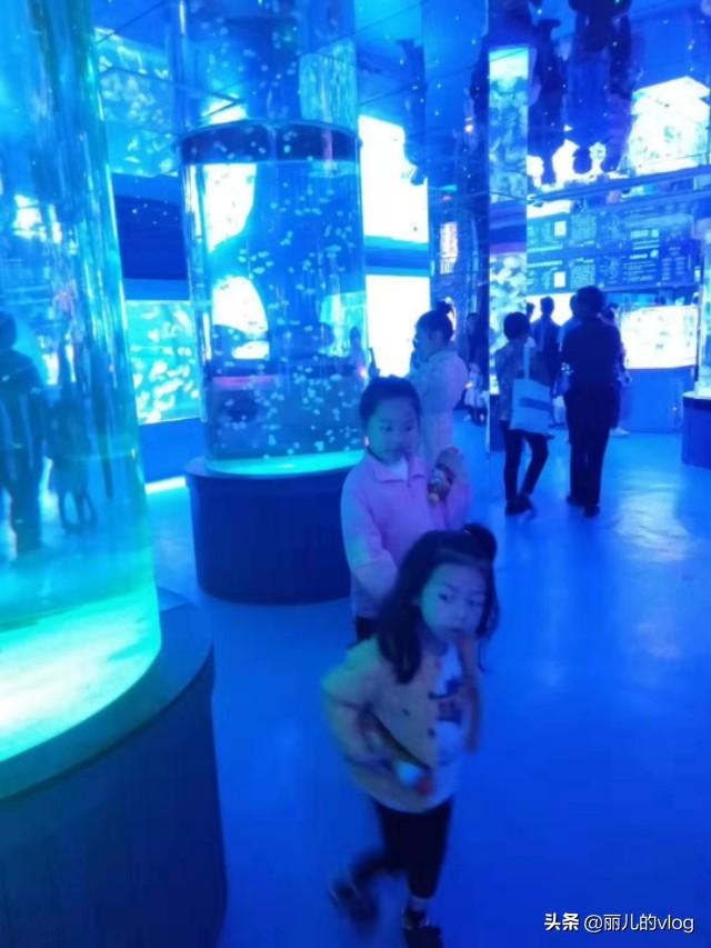 六一去哪里玩(六一去哪里玩最好哈尔滨)