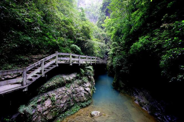 重庆有哪些旅游景点;重庆市区旅游必去景点