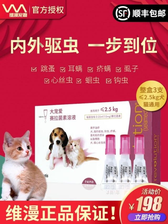 中国狸花猫要多少钱:2个月的狸花猫要驱虫和打疫苗要多少钱？