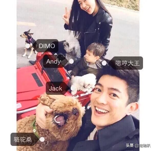 金希澈收养雪莉的猫:金希澈与momo恋爱了，你更希望爱豆对象是圈内人还是圈外人？
