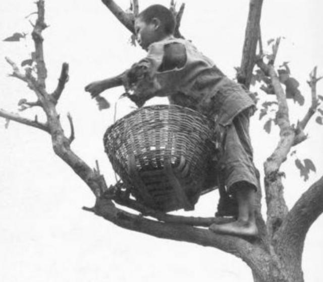 绥远抗战:1931年至1937年中国人吃什么？