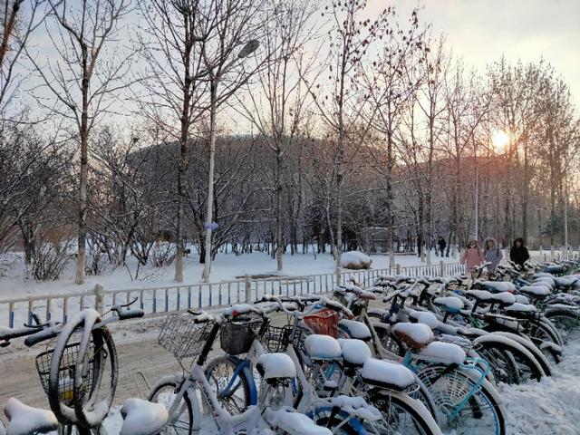 包翠英:2021考研有哪些被低估、但性价比极高的学校？