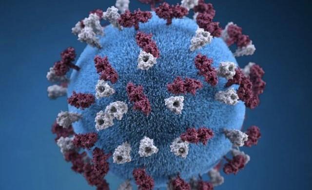 新冠病毒冷链传播可信吗，新冠病毒2022年能全面控制吗