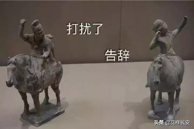 西北藏獒网红王一号:怎么看待西安是一个网红城？