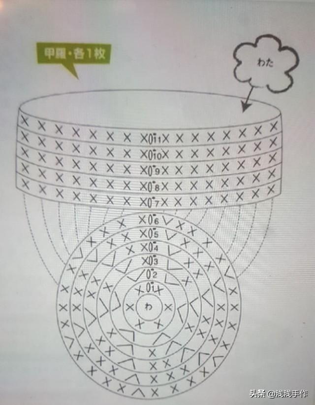 小乌龟图片:小乌龟图片卡通可爱 小乌龟肚子上的壳出现这种情况是为什么？怎么才能治好？