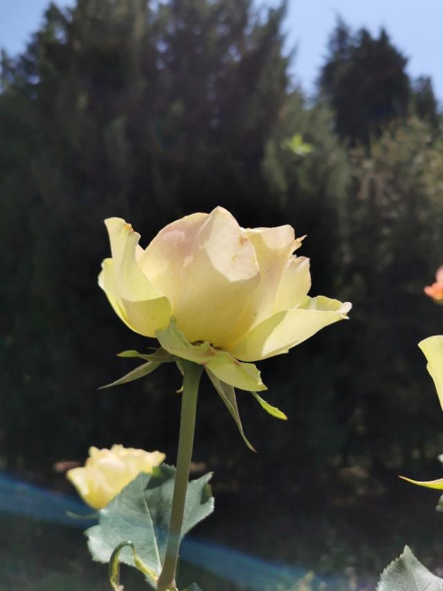 今年受疫情影响,女生什么工作相对好找？