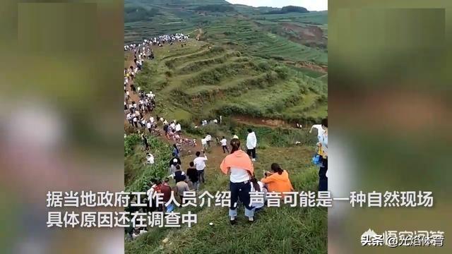 贵州龙吟事件初步调查结果出炉,多人被处理,两人被拘留,怎么看？