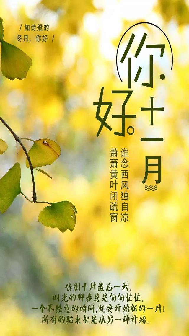 11月早上好正能量问候语录说说 十一月励志阳光句子图片加字