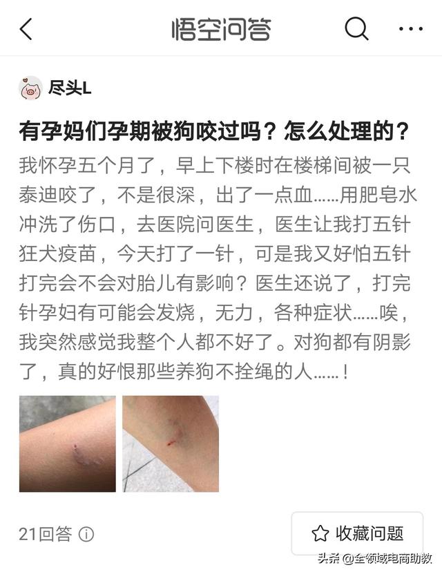 戴更基说不溜猫:为什么遛猫不栓绳子在网上也会被骂？