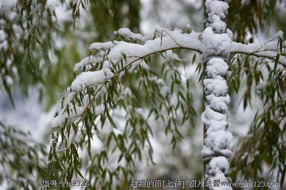 柳宗元的作品:柳宗元的《江雪》和白居易的《夜雪》都是写什么？如何评价？