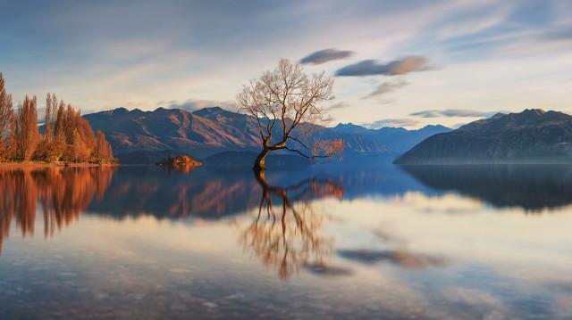 现在中国移动客户申请8元保号套餐的越来越多，这是为什么？插图11