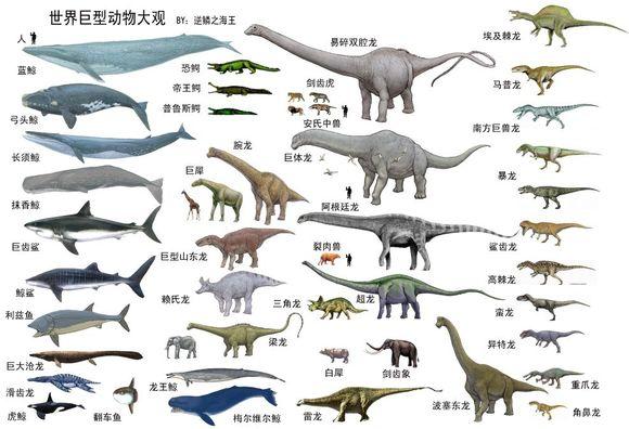 阿根廷獒犬幼崽:阿根廷龙的头部大概有多长？在白垩纪属于怎样的存在？ 阿根廷獒犬打架