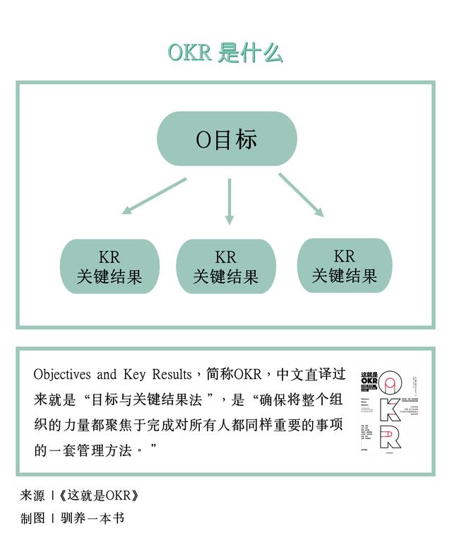 帮助谷歌从40人裂变为60000人的OKR是啥？OKR适用于哪个类型的企业？