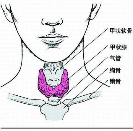 大脖子病症状(大脖子病症状怎么引起)