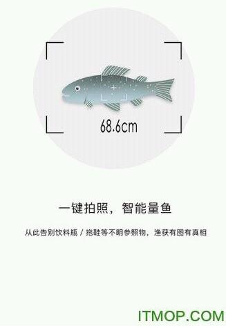 什么软件可以识别鸟的种类:有没有一款软件可以拍照识鱼？ 哪个app可以识别鸟的品种
