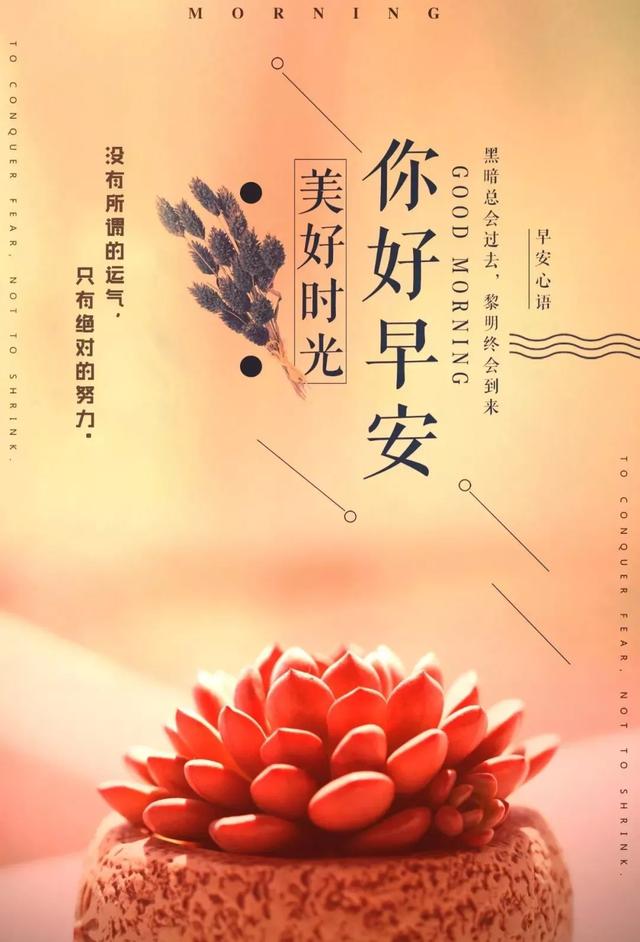 早安心语正能量图片日签加字：努力做个温暖的人，用微笑去迎接阳光