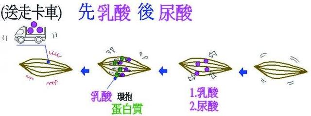 肠梗塞会腹泻:三岁宝宝肠梗堵刚好，大便太干燥，一粒一粒的，怎么办？