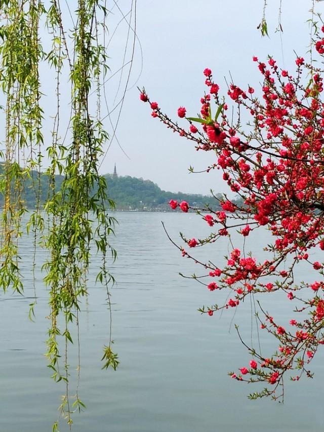 <a href=https://maguai.com/list/256-0-0.html target=_blank class=infotextkey>朋友圈</a>配图正能量:那些<a href=https://maguai.com/list/256-0-0.html target=_blank class=infotextkey>朋友圈</a>整天发“岁月静好”“正能量”的人是什么心态？