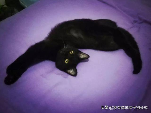 被猫抓伤渗了一点点血打疫苗:被猫抓伤渗了一点点血打疫苗多少钱 被两个月的小猫抓了一下破了，出了一点血，要不要打狂犬疫苗？