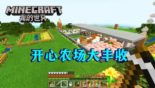 我的世界1.7.4，手机版《我的世界》中，有哪些好玩的模组