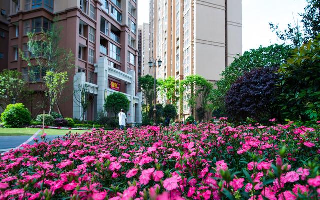 住一楼真实感受,住在2楼是什么样的体验？