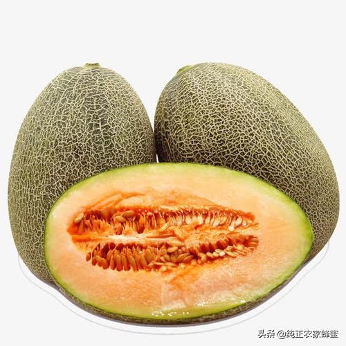是哪几种原因造成农村有些土特产滞销？你有什么要对农民说吗？