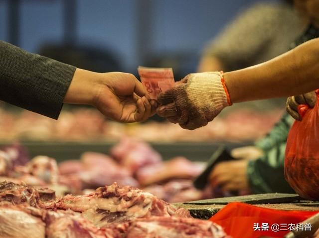 猪肉价格全面下跌，是什么原因导致难以反弹？
