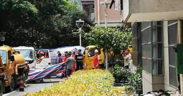 新西兰警犬试穿新款背心:现在杭州失踪来惠利女士家已贴封条。为何家属报警时，不贴封条？