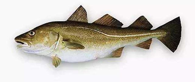 爱美食,爱分享,我是佳佳,每天更新美食教程,我们一起为美食加油.