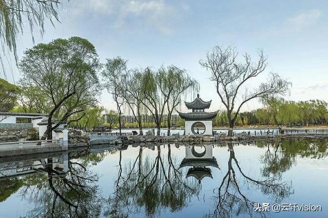 鸟的图片:鸟的图片简笔画 拍了几张照片，倒过来看看，感觉不一样，你有这样的照片吗？