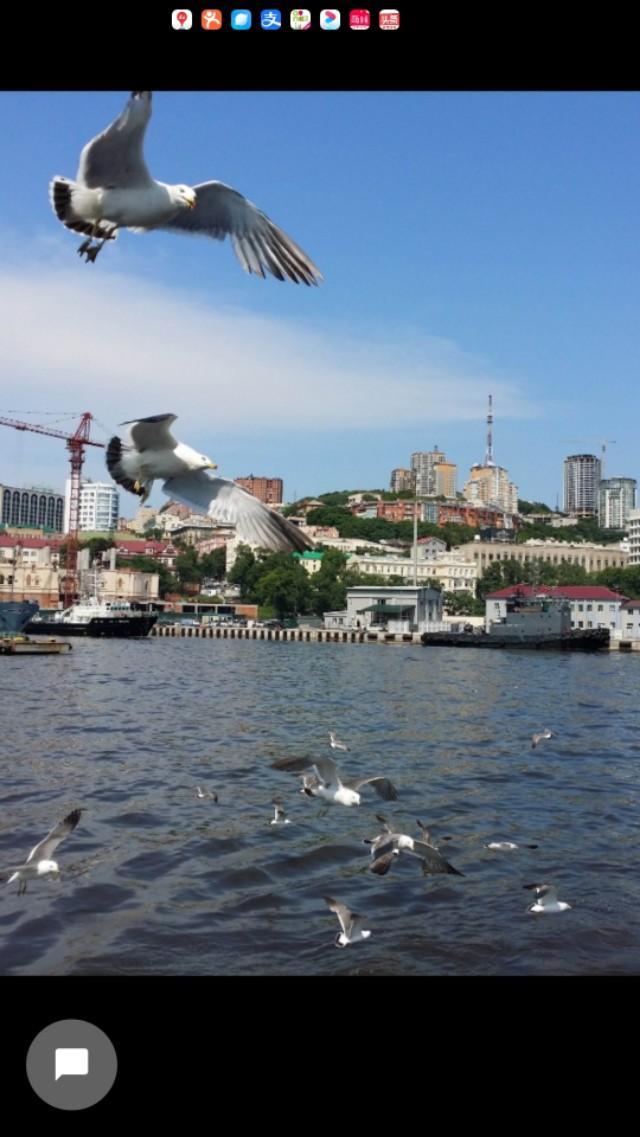 头条问答 - 海兰泡,江东六十四屯,海参崴还有中国人吗,有多少?