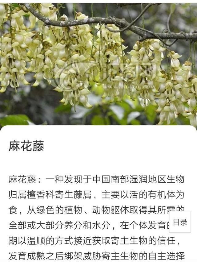 腾讯要打造电竞之都。下面说网络游戏的危害。你们说到底信谁的？