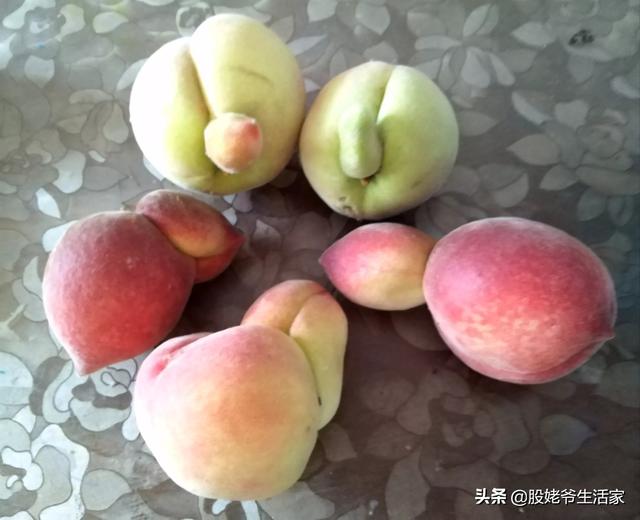 原生态壮阳果多少钱，家里自己亲手种的纯天然苹果，被同事说有农药残留，怎么办