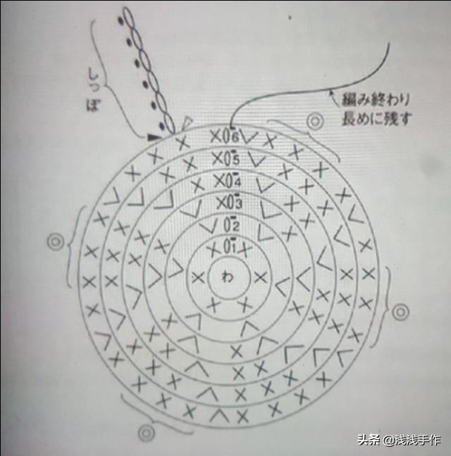 小乌龟图片:小乌龟图片卡通可爱 小乌龟肚子上的壳出现这种情况是为什么？怎么才能治好？