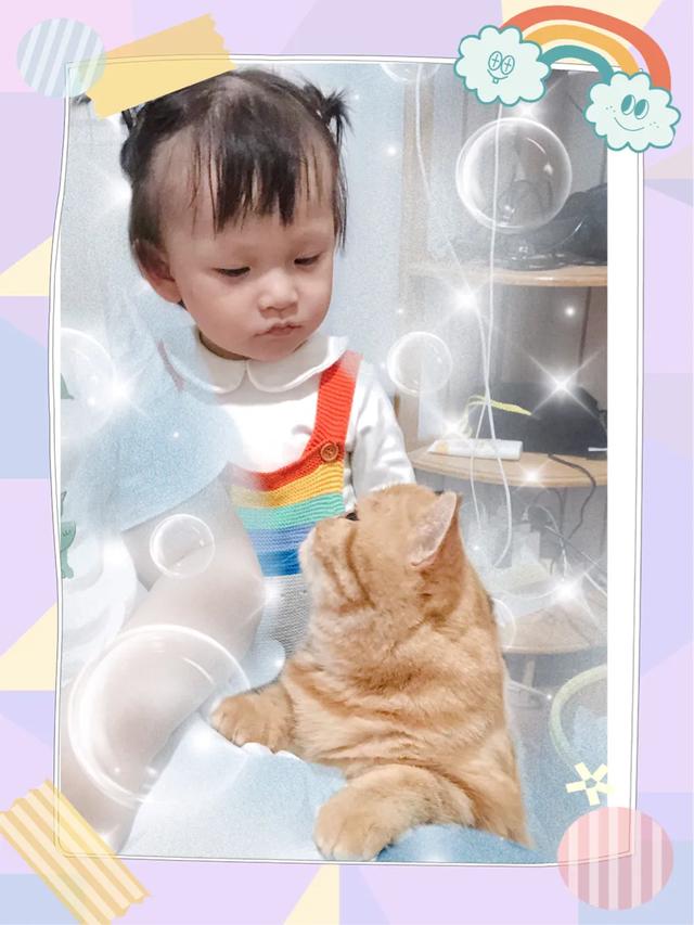 抱抱猫萌翻网友:猫咪想你撸它的时候，会有哪些行为？ 抱抱猫游戏