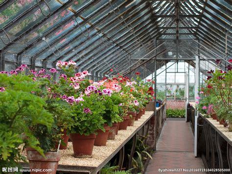 头条问答 花卉 花盆 盆栽 帮忙起个店名 谢谢 11个回答