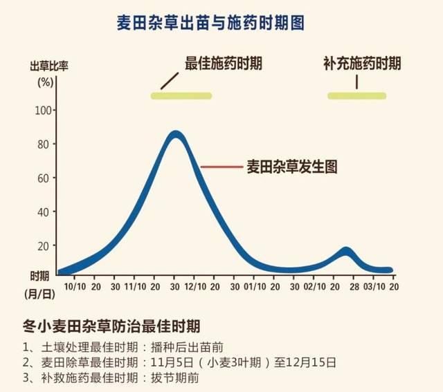 氟唑磺隆治多花黑麦草吗:小麦除草剂年后什么时候打好？什么药比较安全效果好？