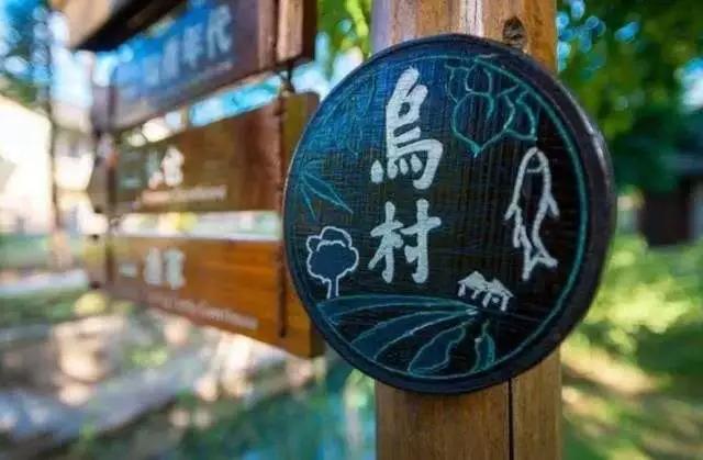 成功案例说明:当前乡村振兴比较成功的案例有哪些？