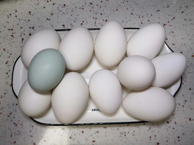 鹅蛋的做法有哪些，我们很少吃到鹅蛋，有什么鹅蛋美食推荐鹅蛋有什么吃法