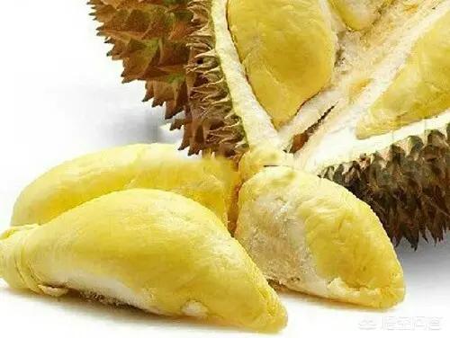 油炸毒蜘蛛:油炸毒蜘蛛可以吃吗 家里有蜘蛛怎么办，如何消灭？