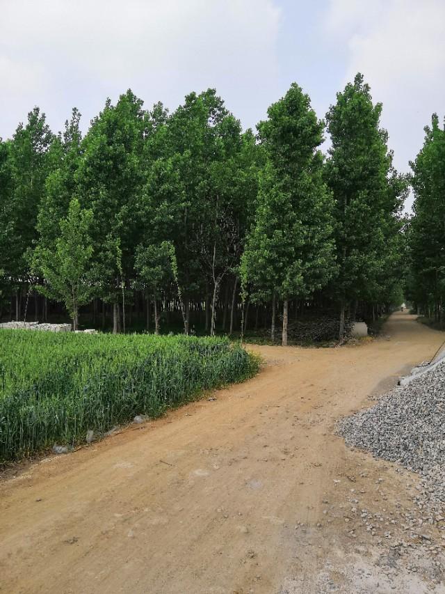 有没有好的自由职业,无需投资,月入2W以上的求推荐？