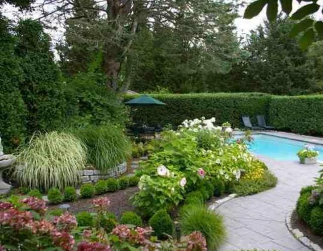 花卉如何进行水肥管理？